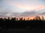 A.IMG_8775_t.gif