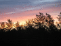 A.IMG_8776_t.gif
