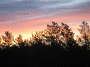 A.IMG_8778_t.gif