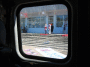 A.IMG_8781_t.gif