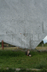 IMG_0214.v0_t.gif