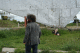 IMG_0222_t.gif