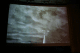 IMG_0555_t.gif