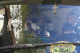 IMG_0468_t.gif