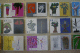 IMG_0608_t.gif