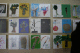 IMG_0609_t.gif