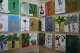 IMG_0617_t.gif