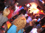 A.IMG_8829_t.gif