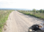 A.IMG_8881_t.gif