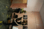 IMG_0442_t.gif