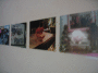IMG_8902_t.gif