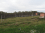A.IMG_8742_t.gif