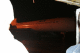 IMG_0135_t.gif