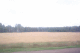 IMG_0194_t.gif