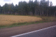 IMG_0196_t.gif