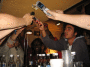 IMG_9024_t.gif