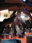 IMG_9027.v0_t.gif