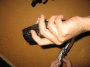 IMG_9029_t.gif