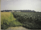 DSCN0066_t.gif