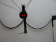 DSCN0072_t.gif