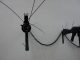 DSCN0074_t.gif