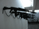 DSCN0075_t.gif