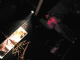 IMG_2994_t.gif