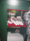 IMG_4219.v0_t.gif