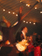 IMG_6395.v0_t.gif