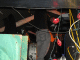IMG_6410_t.gif