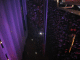 IMG_6831_t.gif