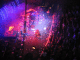 IMG_6832_t.gif