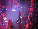 IMG_6833_t.gif