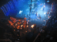 IMG_6839_t.gif