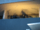 IMG_7225_t.gif