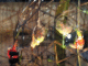 IMG_7227_t.gif