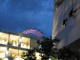 IMG_7238_t.gif