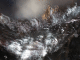 IMG_7260_t.gif