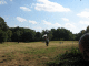IMG_8979_t.gif