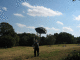 IMG_8981_t.gif