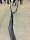 12102007116_t.gif