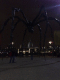 12102007124_t.gif