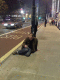 12102007139_t.gif