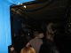 IMG_0973_t.gif