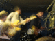 IMG_0979_t.gif
