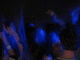 IMG_1781_t.gif