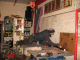 IMG_1884_t.gif