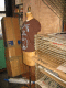 IMG_1892.v0_t.gif