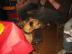 IMG_2496_t.gif