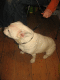IMG_2506.v0_t.gif